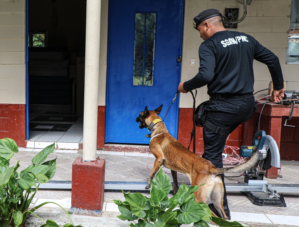 Green Berets teach Guatemalan partners K-9 Handling skills
