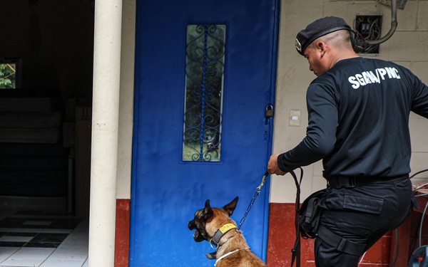 Green Berets teach Guatemalan partners K-9 Handling skills
