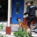 Green Berets teach Guatemalan partners K-9 Handling skills