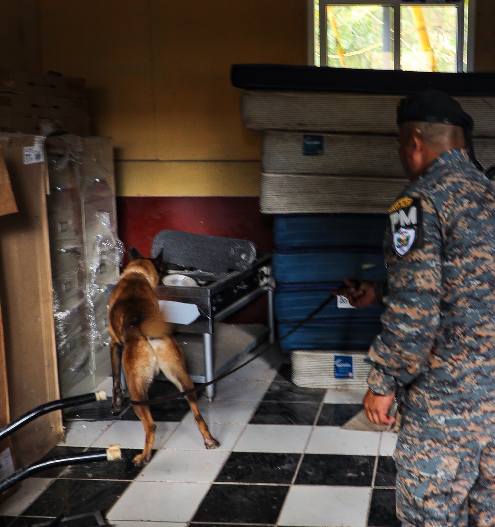Green Berets teach Guatemalan partners K-9 Handling skills