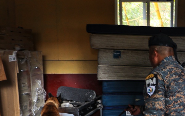 Green Berets teach Guatemalan partners K-9 Handling skills