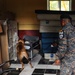Green Berets teach Guatemalan partners K-9 Handling skills