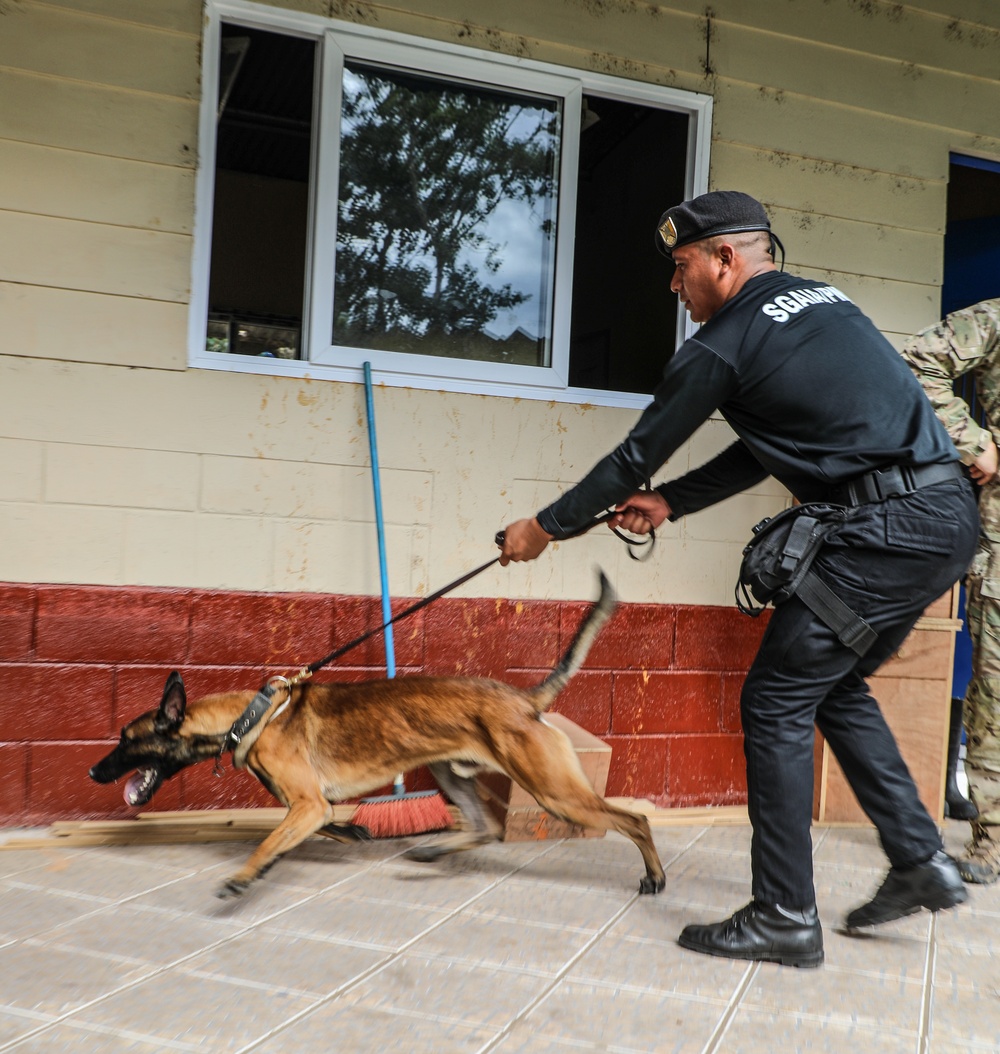 Green Berets teach Guatemalan partners K-9 Handling skills