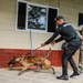 Green Berets teach Guatemalan partners K-9 Handling skills