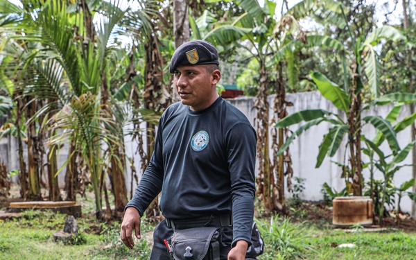 Green Berets teach Guatemalan partners K-9 Handling skills