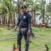 Green Berets teach Guatemalan partners K-9 Handling skills