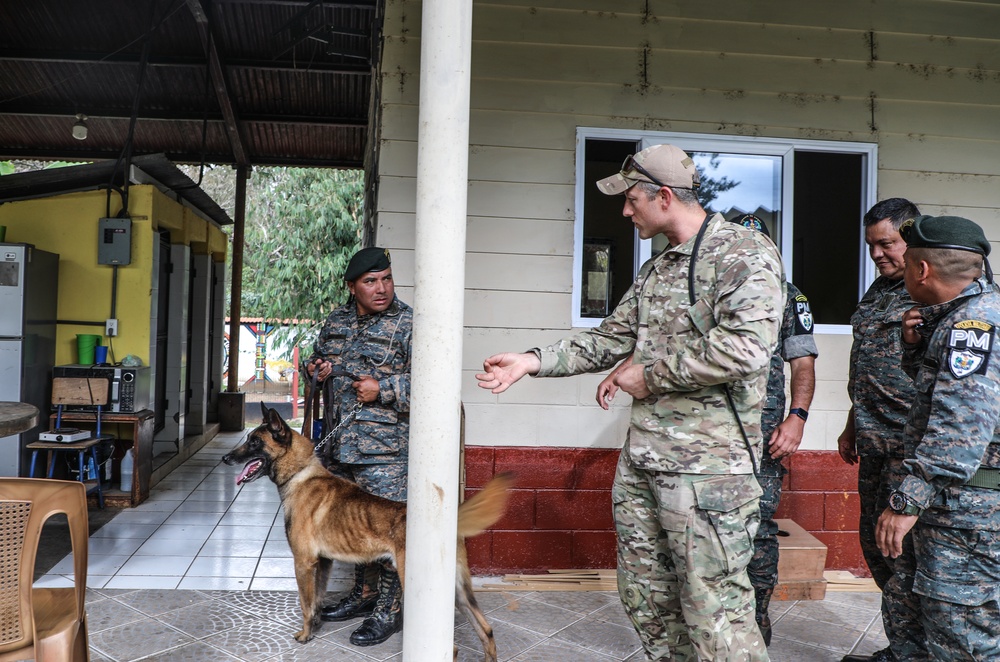 Green Berets teach Guatemalan partners K-9 Handling skills