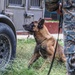 Green Berets teach Guatemalan partners K-9 Handling skills