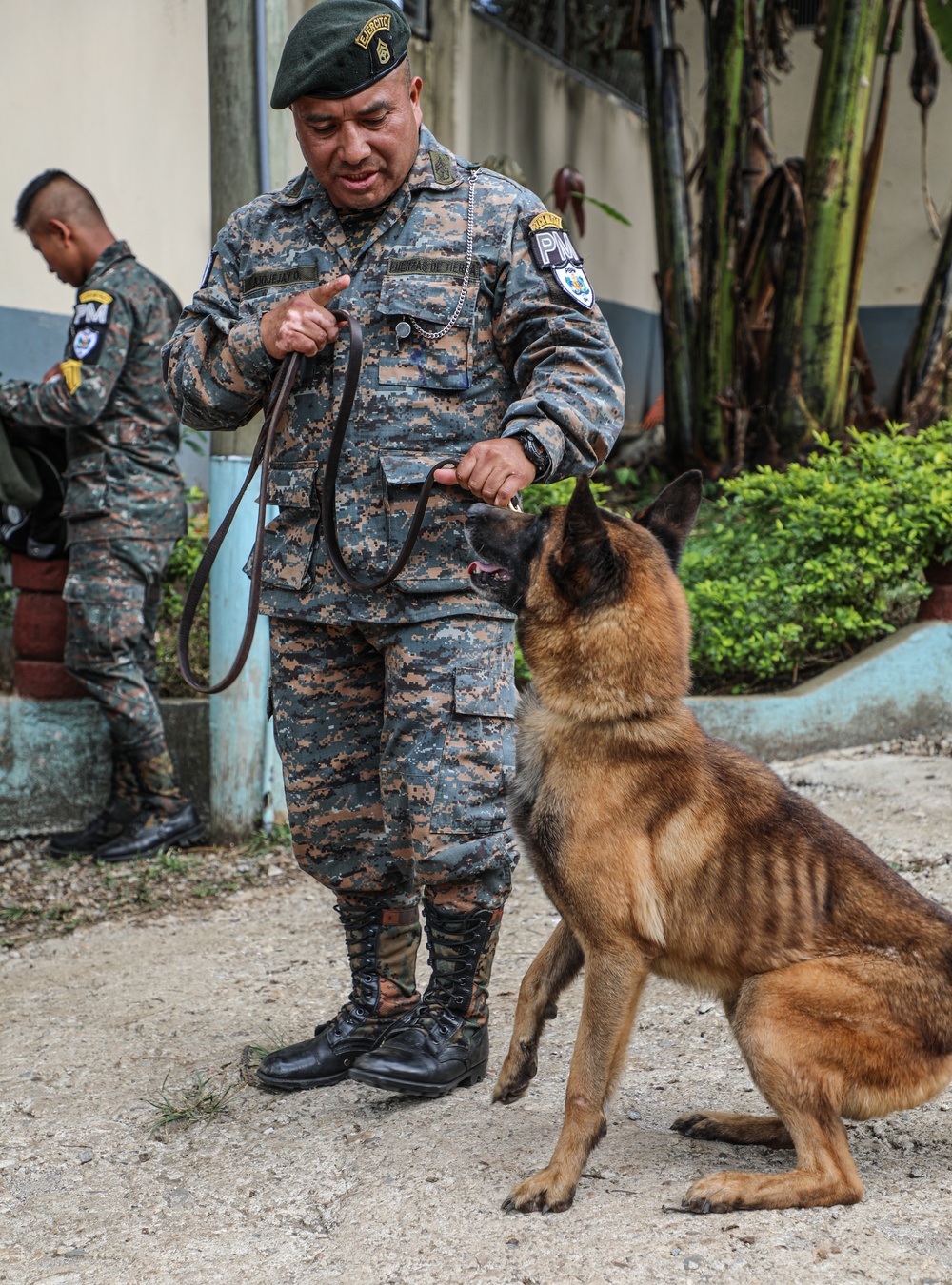 Green Berets teach Guatemalan partners K-9 Handling skills