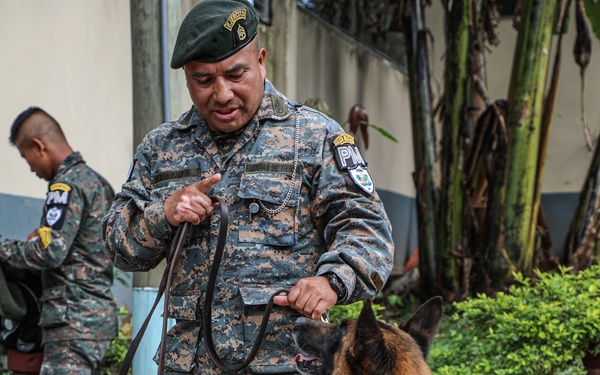 Green Berets teach Guatemalan partners K-9 Handling skills