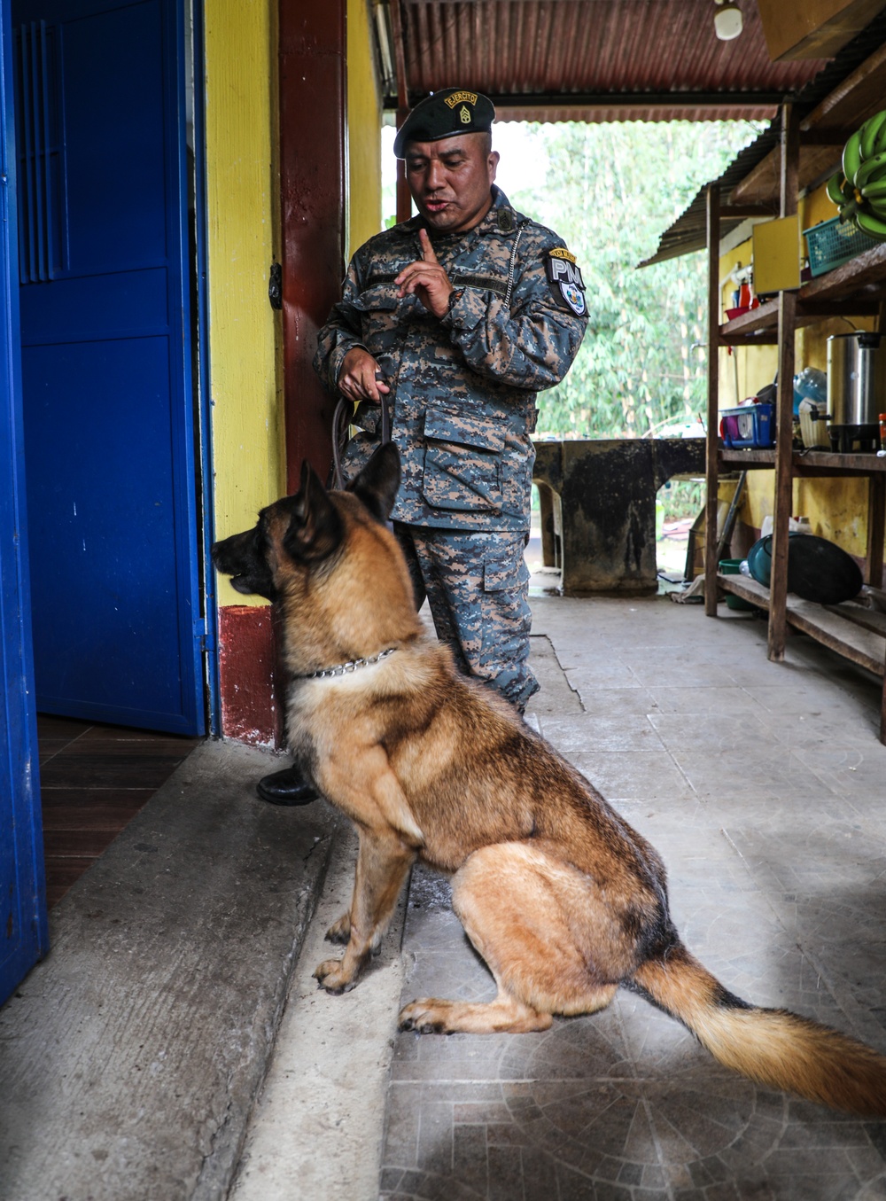 Green Berets teach Guatemalan partners K-9 Handling skills