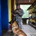 Green Berets teach Guatemalan partners K-9 Handling skills