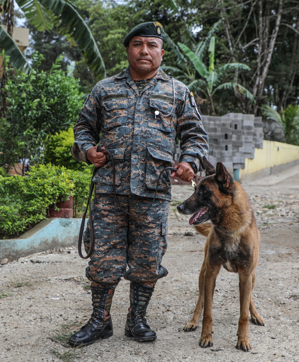 Green Berets teach Guatemalan partners K-9 Handling skills