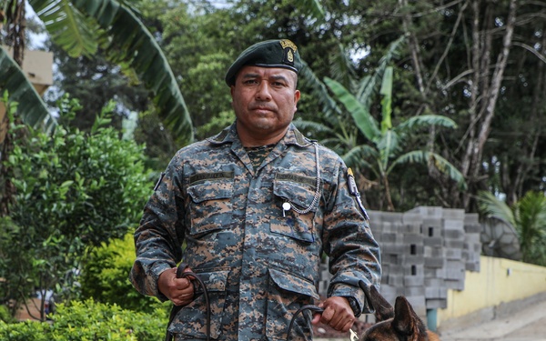 Green Berets teach Guatemalan partners K-9 Handling skills