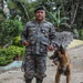 Green Berets teach Guatemalan partners K-9 Handling skills