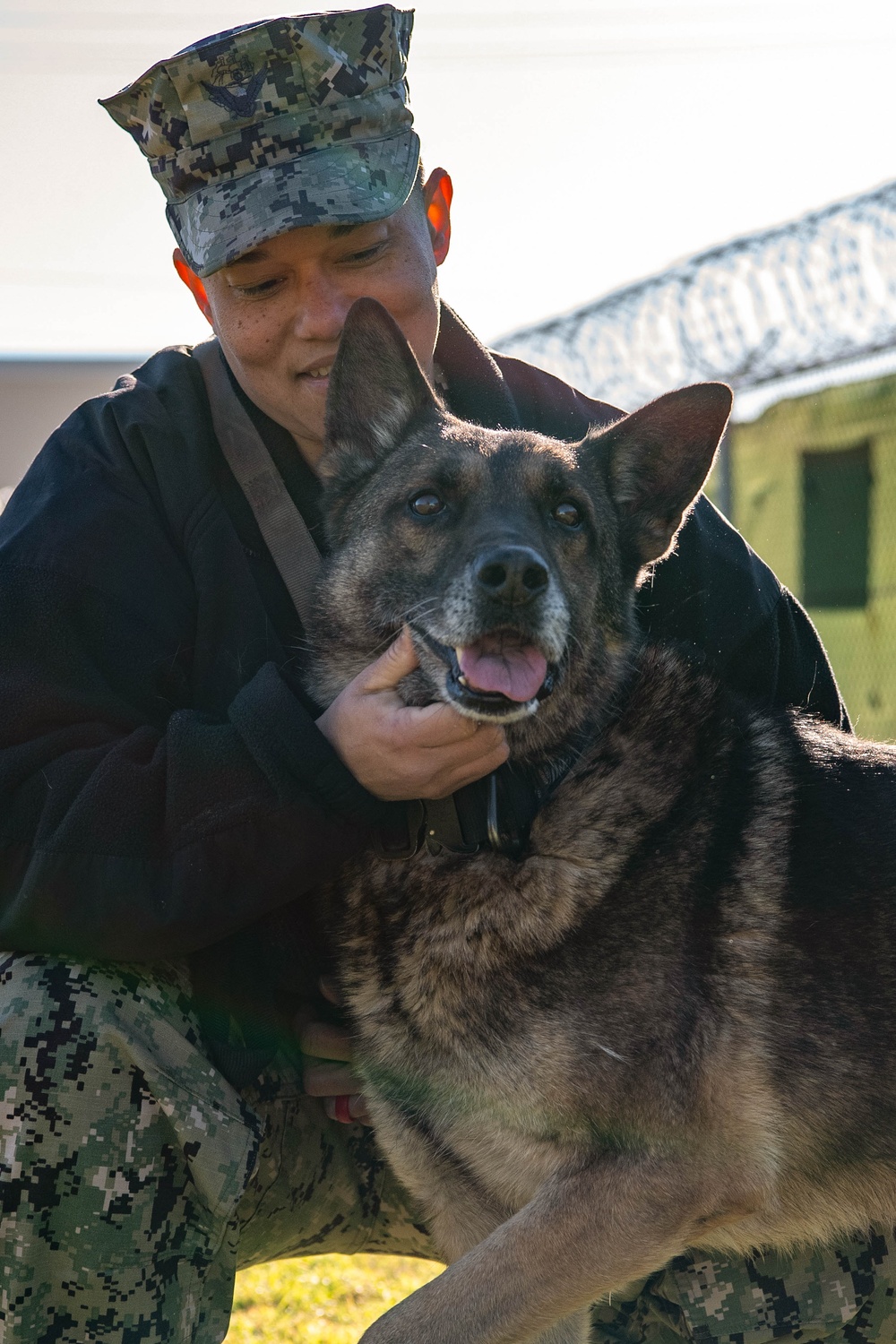 Man's Best Friend: The Dogs of Naval Station Rota's Military Working Dog Program