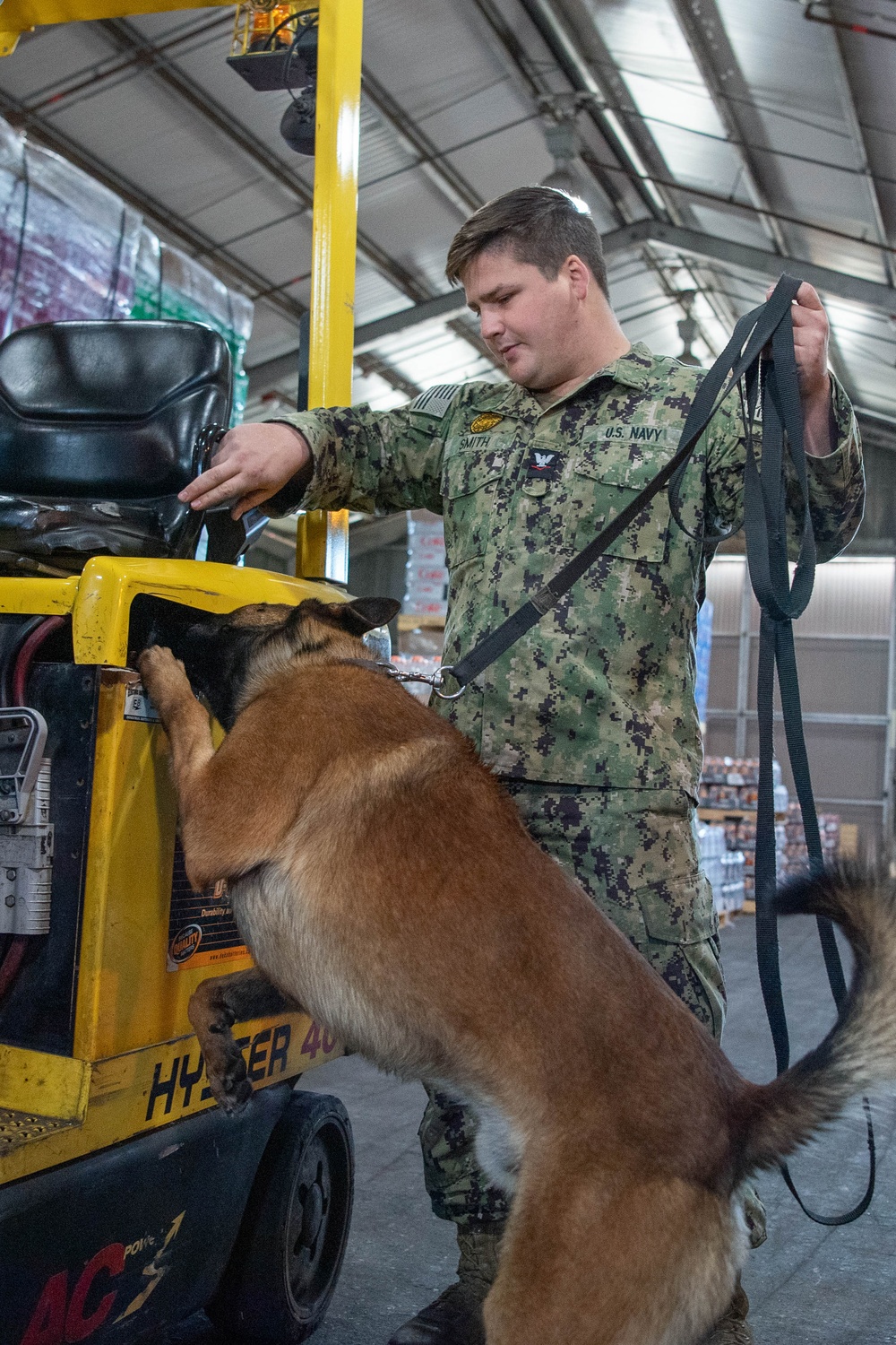 Man's Best Friend: The Dogs of Naval Station Rota's Military Working Dog Program