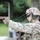 TF Orion Medics Conduct M17 Pistol Qualification