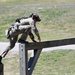 2023 USASOC International Sniper Competition Day 2