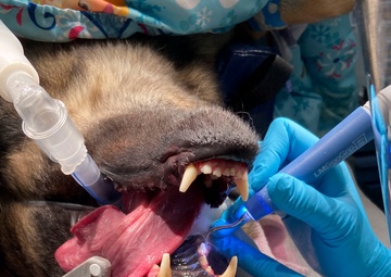 Holloman dental clinic implements new technology