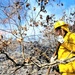 Fort McCoy prescribed burn team manages remote prescribed burn at installation