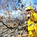 Fort McCoy prescribed burn team manages remote prescribed burn at installation