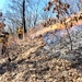 Fort McCoy prescribed burn team manages remote prescribed burn at installation