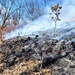 Fort McCoy prescribed burn team manages remote prescribed burn at installation