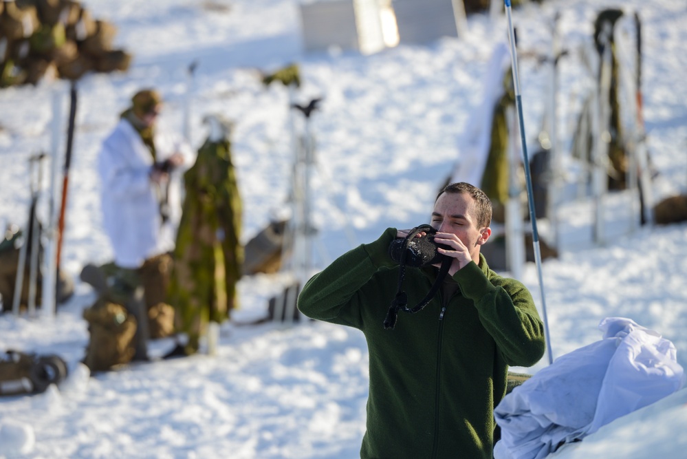 To the top of the mountain and back, NOREX 44 members embrace the Norwegian winter