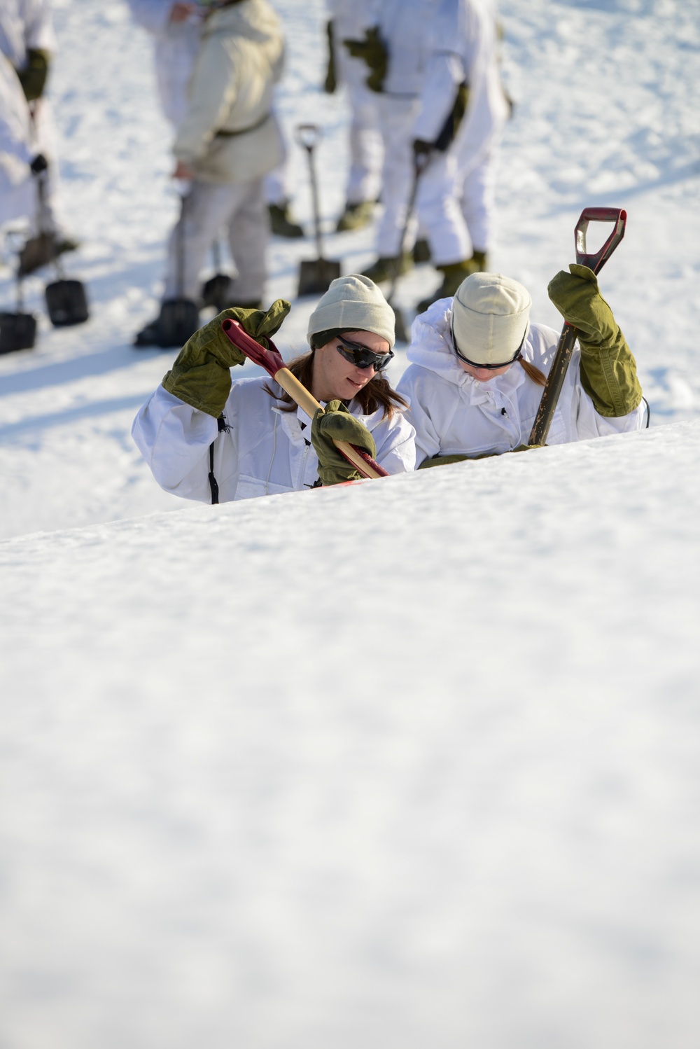 To the top of the mountain and back, NOREX 44 members embrace the Norwegian winter