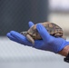 Visitors from Bureau of Land Management visit MCAGCC Desert Tortoise habitat