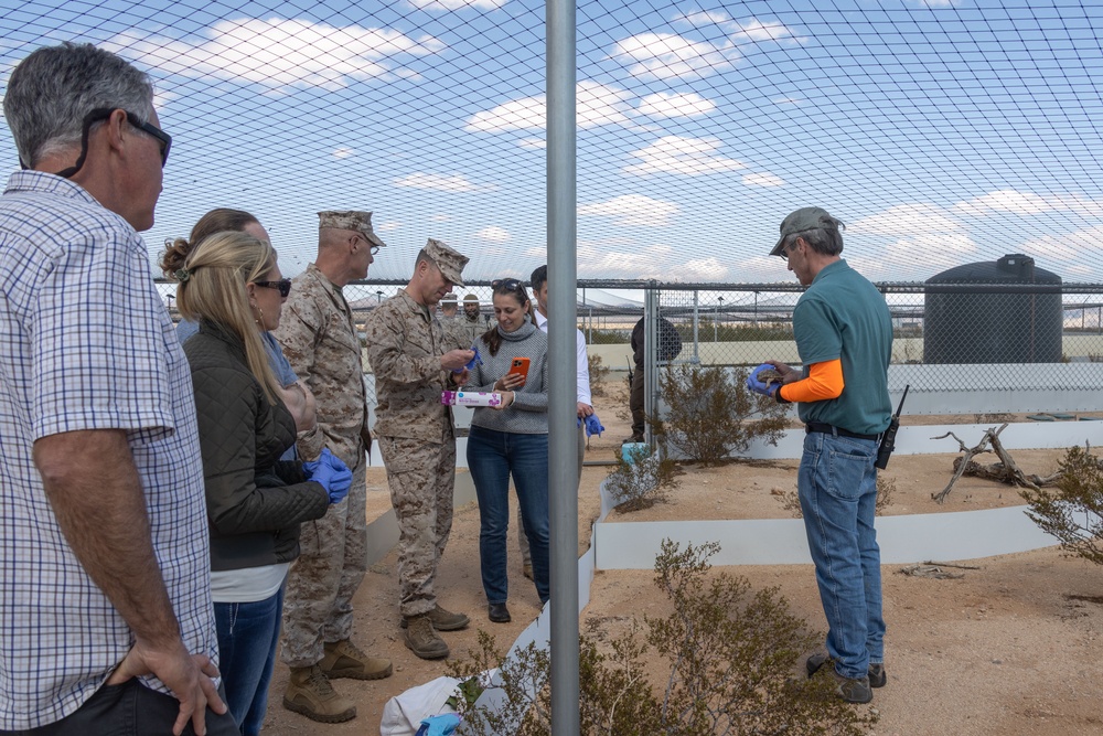 Visitors from Bureau of Land Management visit MCAGCC Desert Tortoise habitat