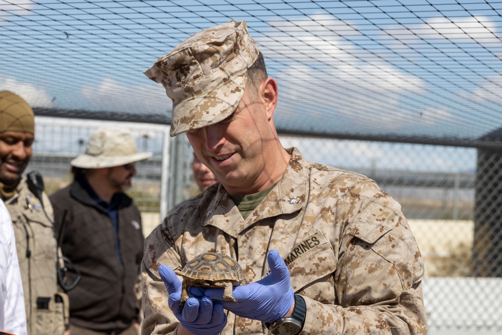 Visitors from Bureau of Land Management visit MCAGCC Desert Tortoise habitat