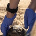 Visitors from Bureau of Land Management visit MCAGCC Desert Tortoise habitat