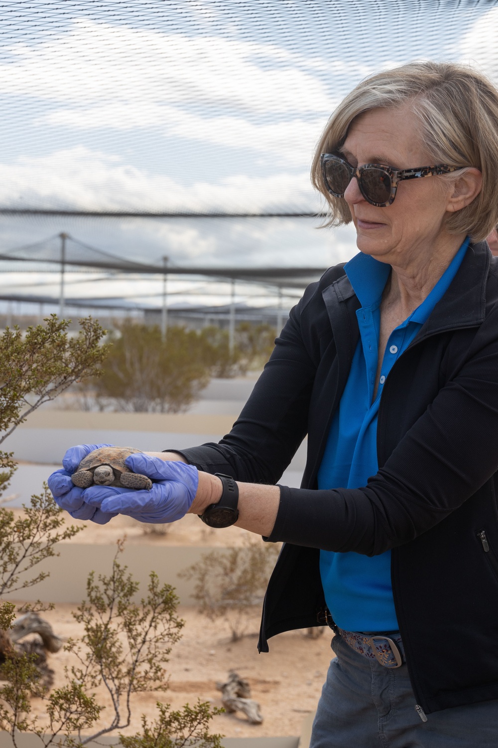 Visitors from Bureau of Land Management visit MCAGCC Desert Tortoise habitat