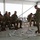 Dynamic Front 23 ROC Drill