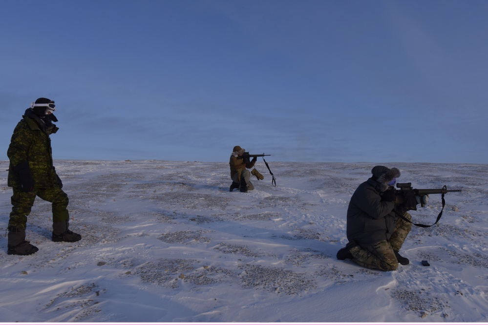 U.S. Soldiers train in the Arctic during Guerrier Nordique 23