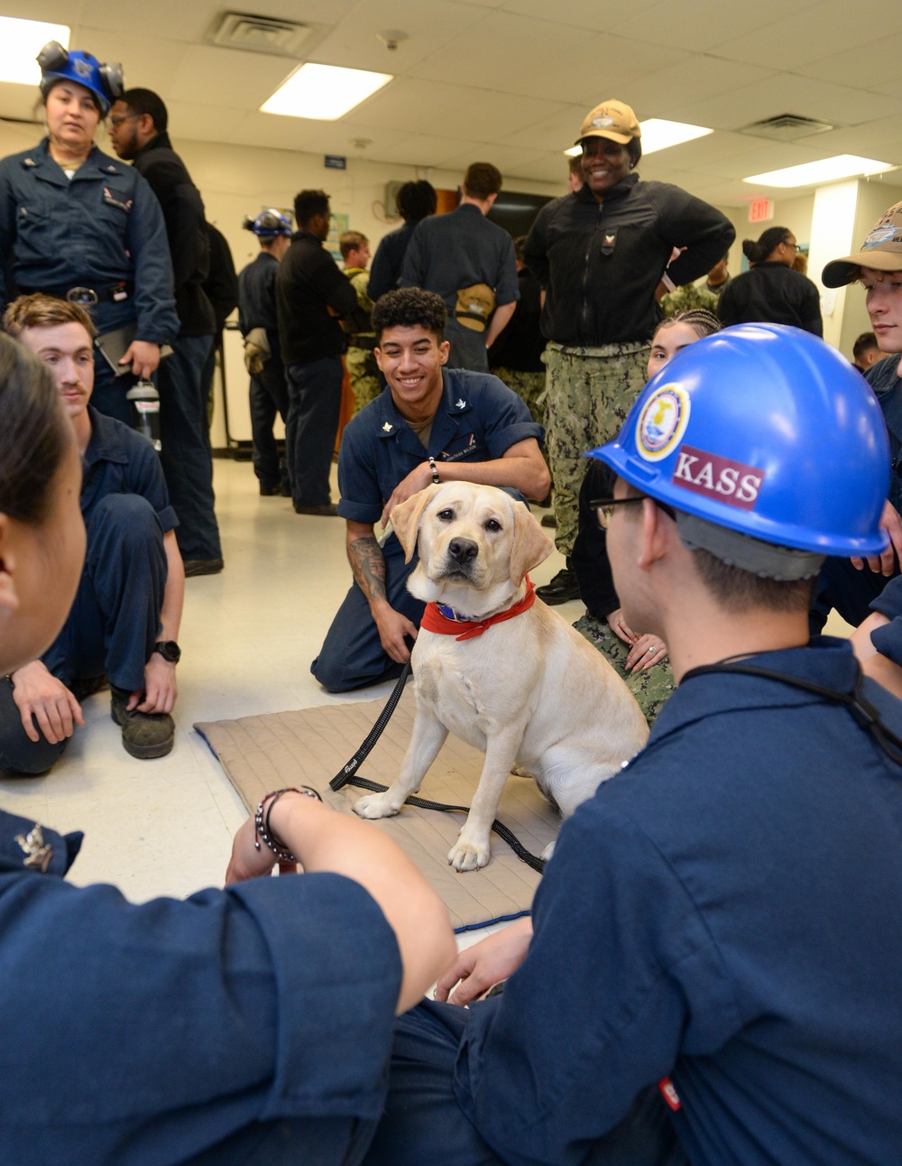 Mutts with a mission dogs visit Stennis