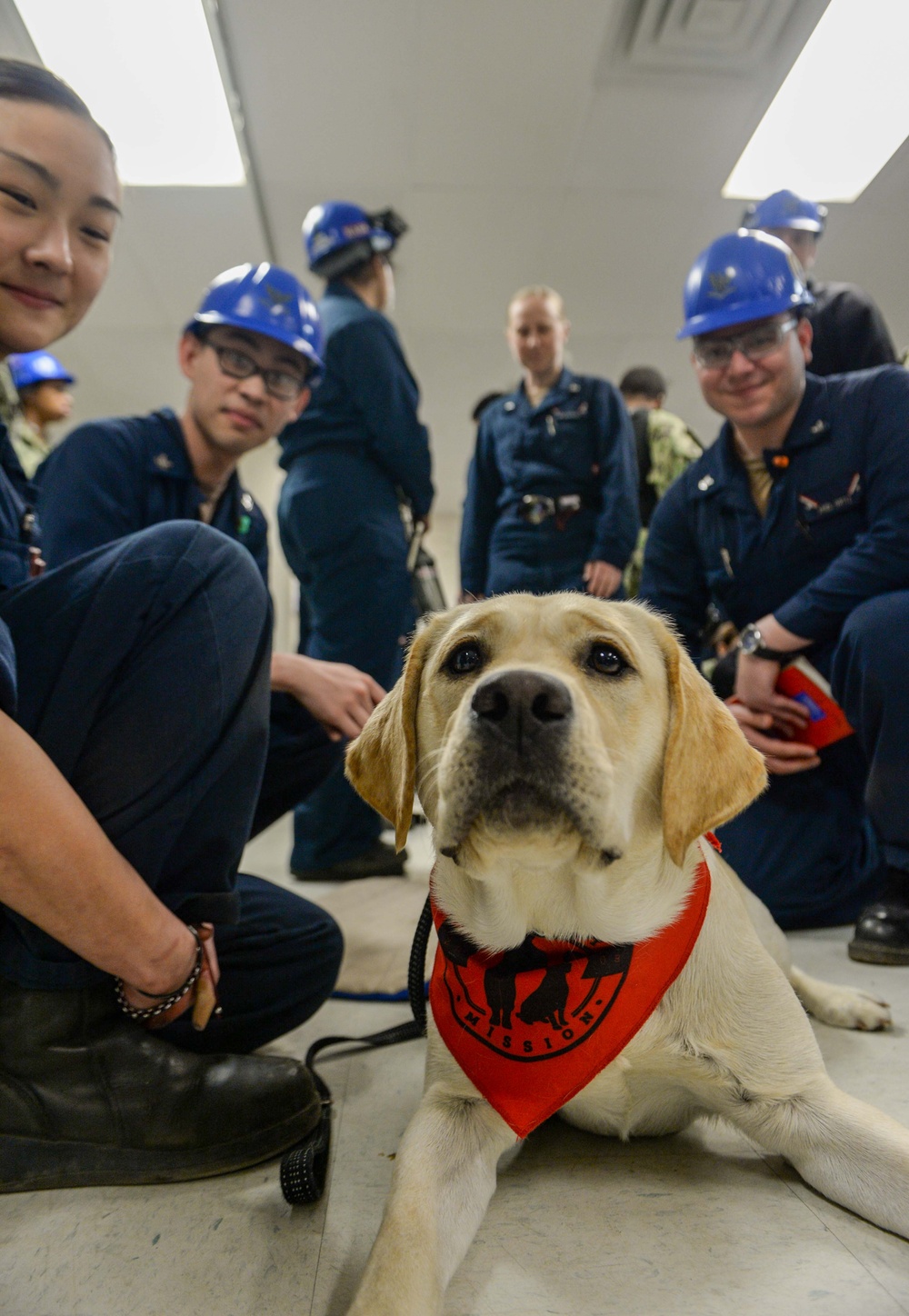 Mutts with a mission dogs visit Stennis