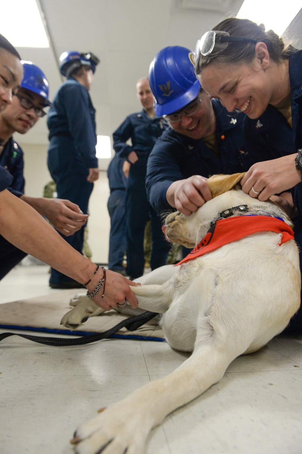 Mutts with a mission dogs visit Stennis