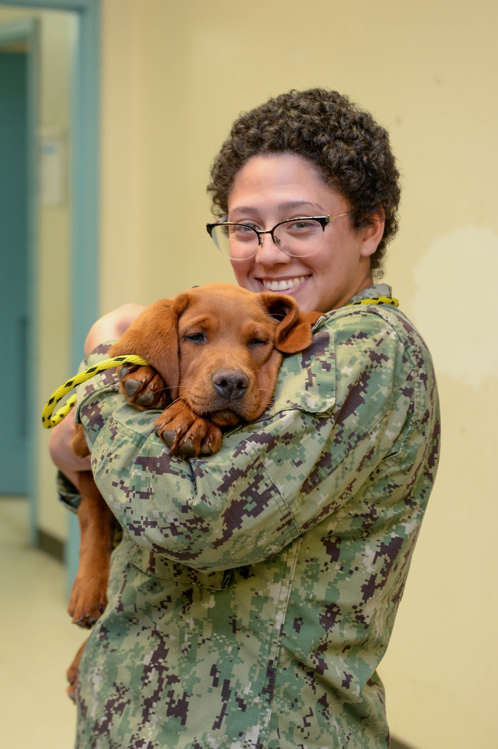 Mutts with a mission dogs visit Stennis