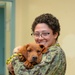 Mutts with a mission dogs visit Stennis