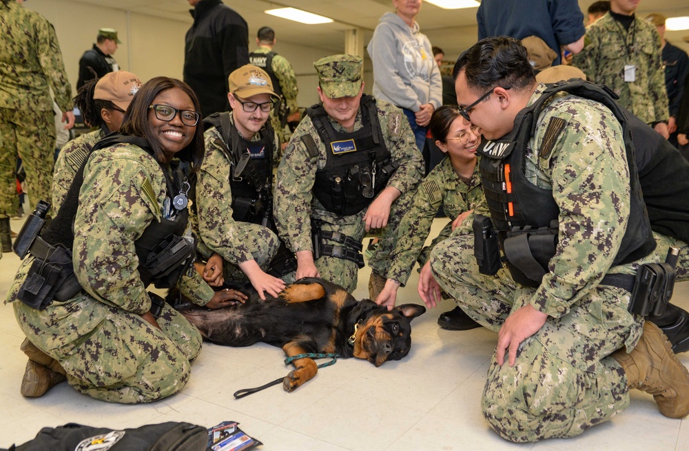 Mutts with a mission dogs visit Stennis