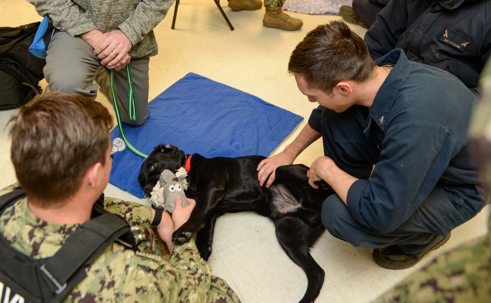 Mutts with a mission dogs visit Stennis