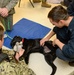 Mutts with a mission dogs visit Stennis