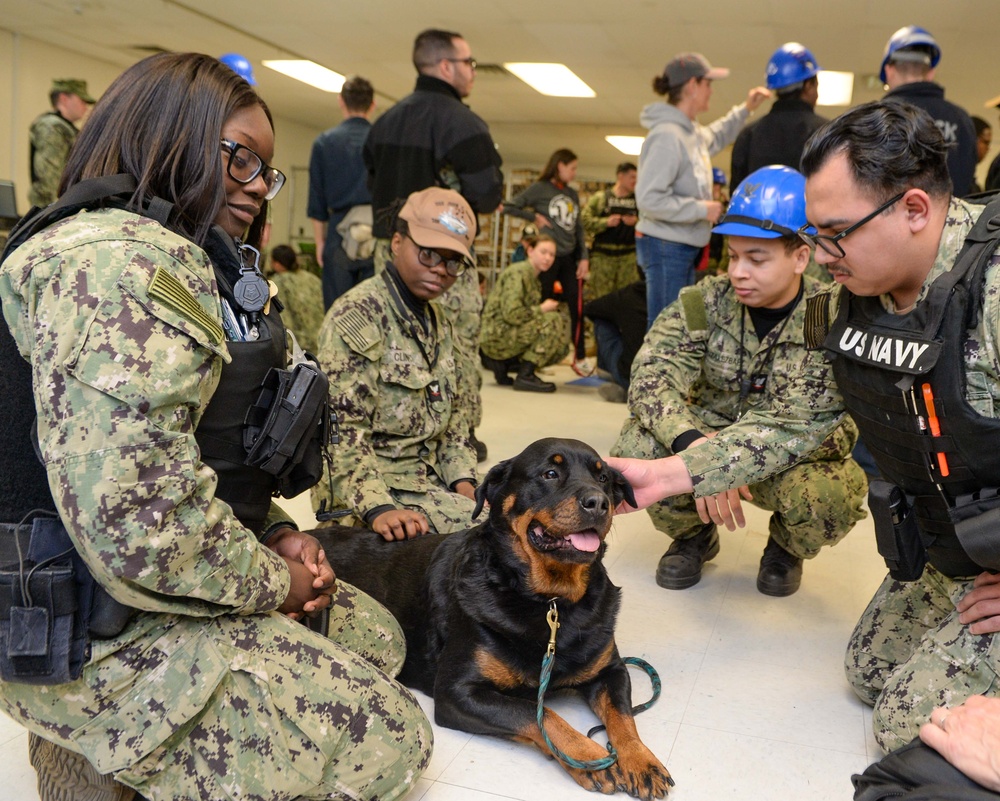 Mutts with a mission dogs visit Stennis