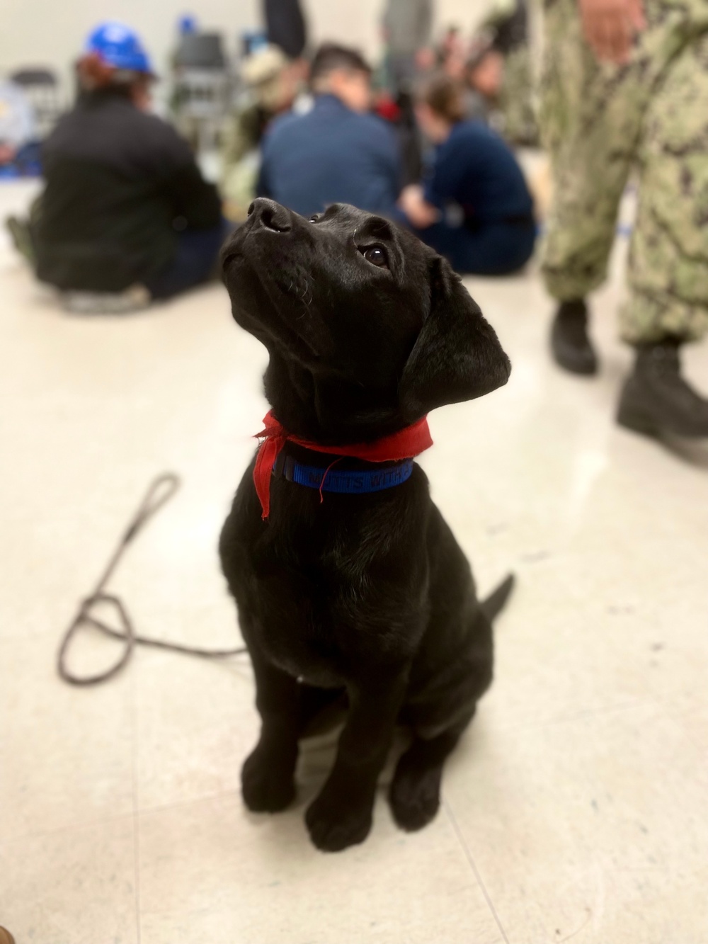 Mutts with a mission dogs visit Stennis