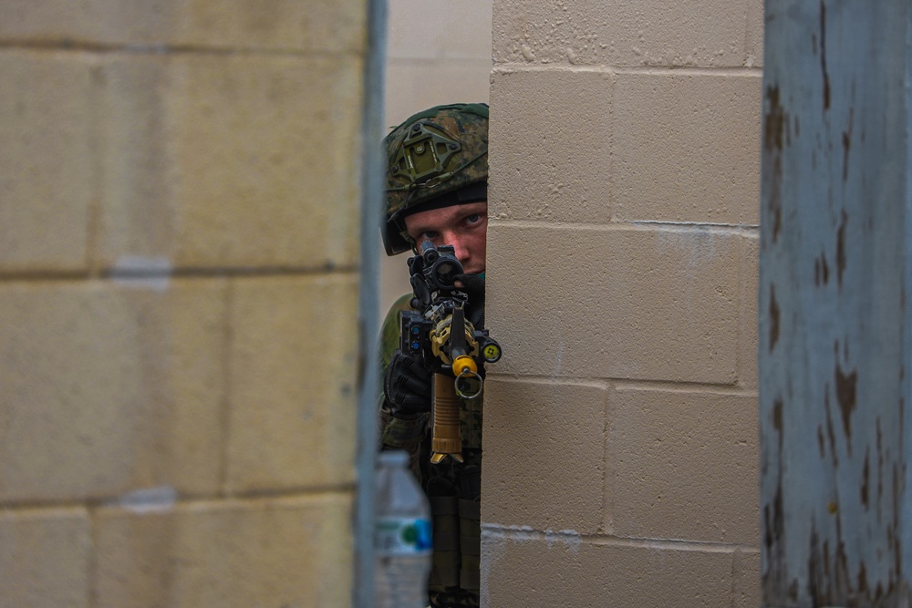 Dutch Marines Conduct an Amphibious Raid Training Exercise