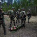 Dutch Marines Conduct an Amphibious Raid Training Exercise