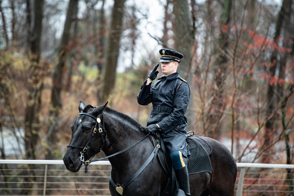 Military Funeral Honors with Funeral Escort are Conducted for U.S. Army Pfc. Francis P. Martin in Section 81